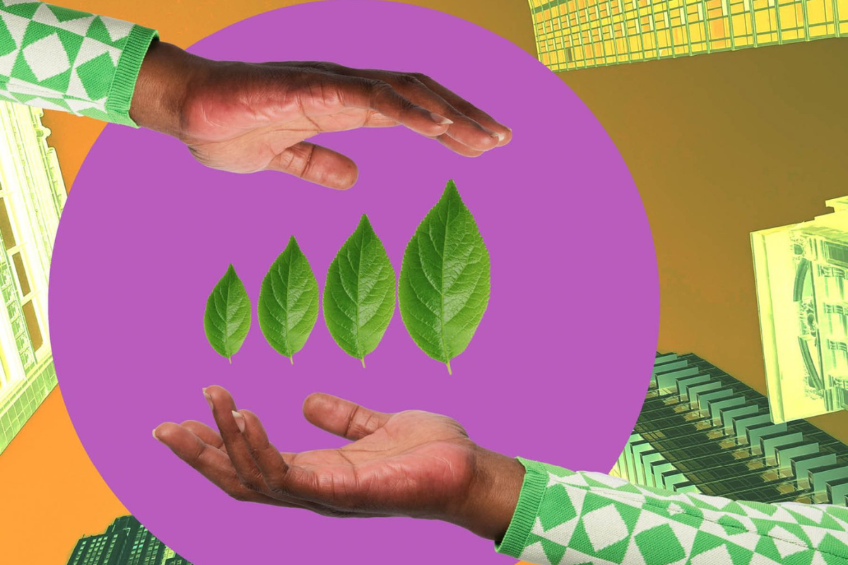 implement sustainability