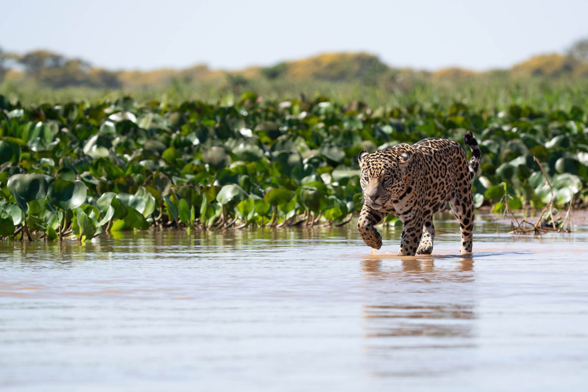 UNESCO Biosphere Reserve