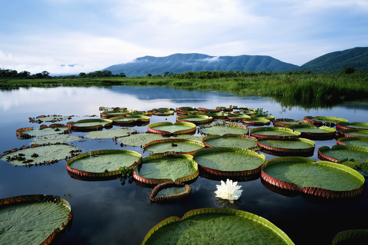 UNESCO Biosphere Reserve