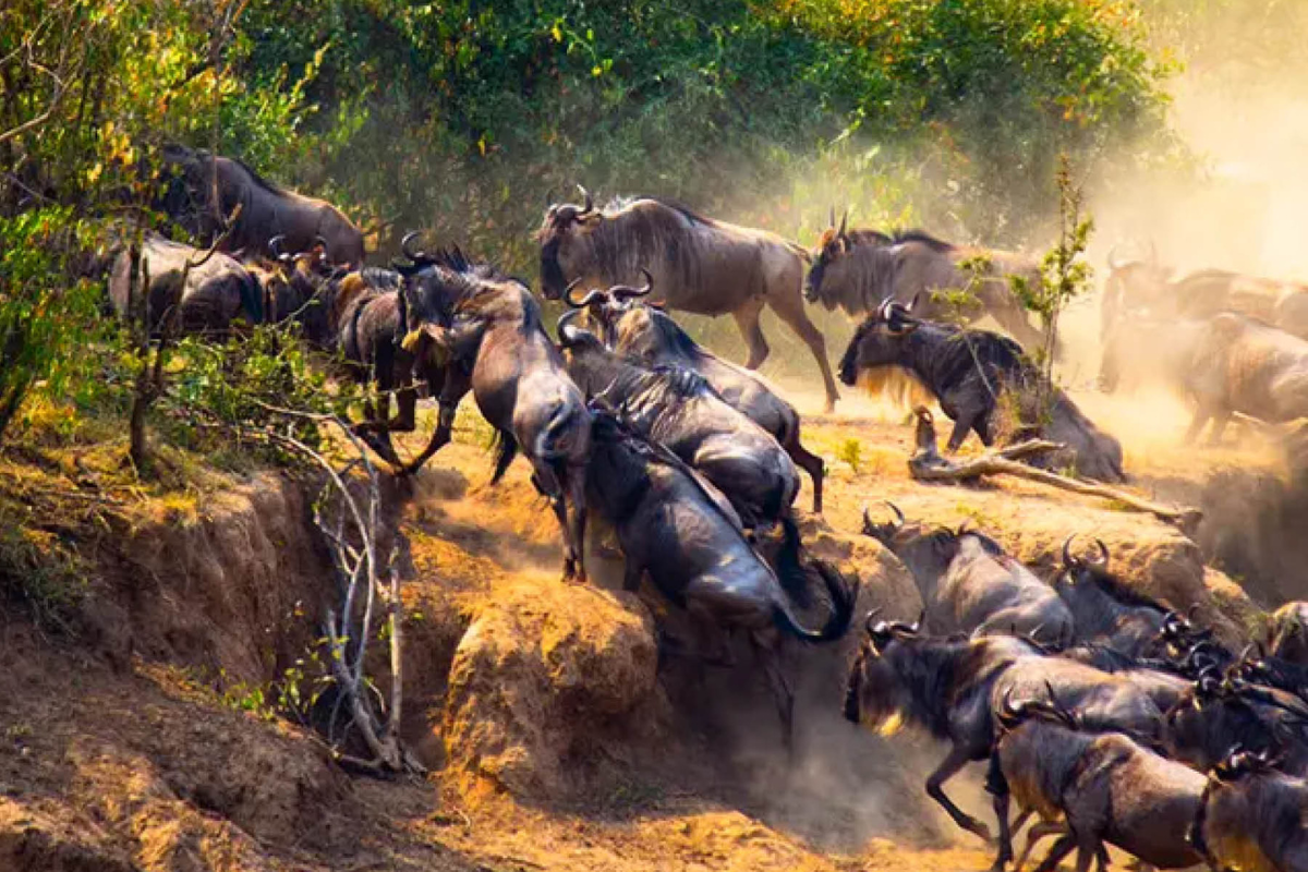 UNESCO Biosphere Reserve