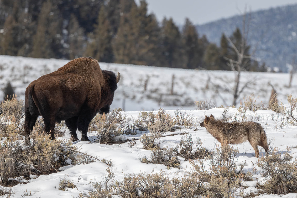 UNESCO Biosphere Reserve